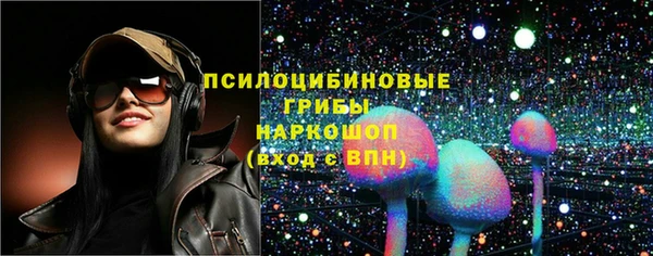 твердый Алзамай